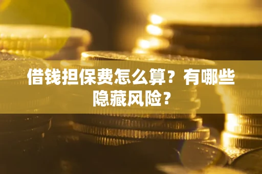 武汉借钱担保费怎么算？有哪些隐藏风险？