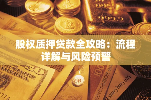 武汉股权质押贷款全攻略：流程详解与风险预警