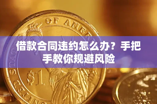 武汉借款合同违约怎么办？手把手教你规避风险