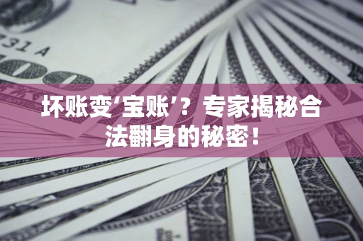 武汉坏账变‘宝账’？专家揭秘合法翻身的秘密！