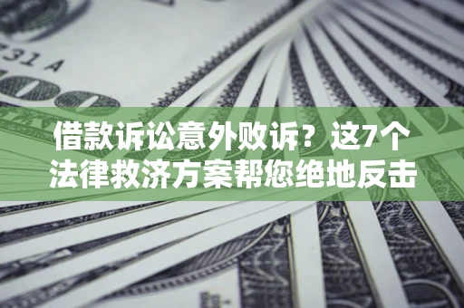 武汉借款诉讼意外败诉？这7个法律救济方案帮您绝地反击！