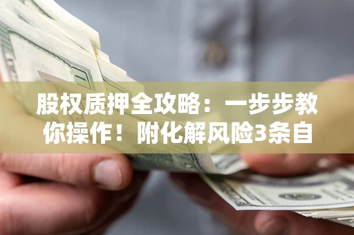 武汉股权质押全攻略：一步步教你操作！附化解风险3条自救法则