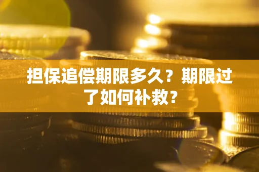 武汉担保追偿期限多久？期限过了如何补救？