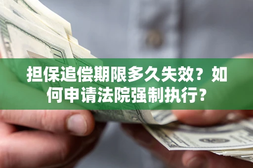 武汉担保追偿期限多久失效？如何申请法院强制执行？