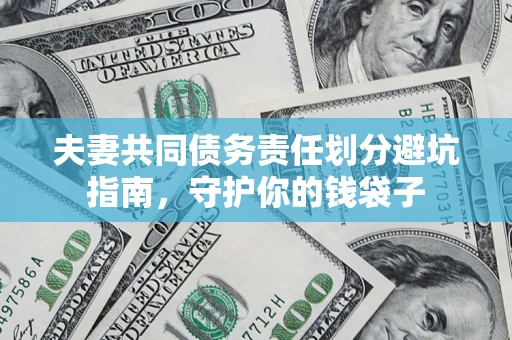 武汉夫妻共同债务责任划分避坑指南，守护你的钱袋子