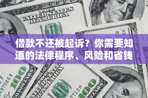 武汉借款不还被起诉？你需要知道的法律程序、风险和省钱技巧