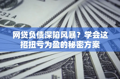 武汉网贷负债深陷风暴？学会这招扭亏为盈的秘密方案